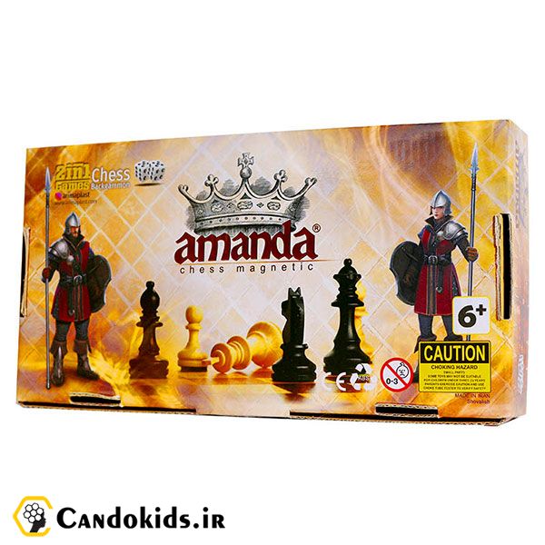 Magnetic Chess and Backgammon (Arima Knight Model) - Board game