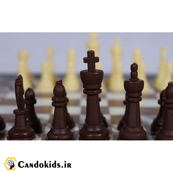 بازی رومیزی شطرنج آهنربایی و تخته نرد مدل شوالیه آریما