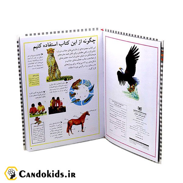 First encyclopedia of animals - educational book